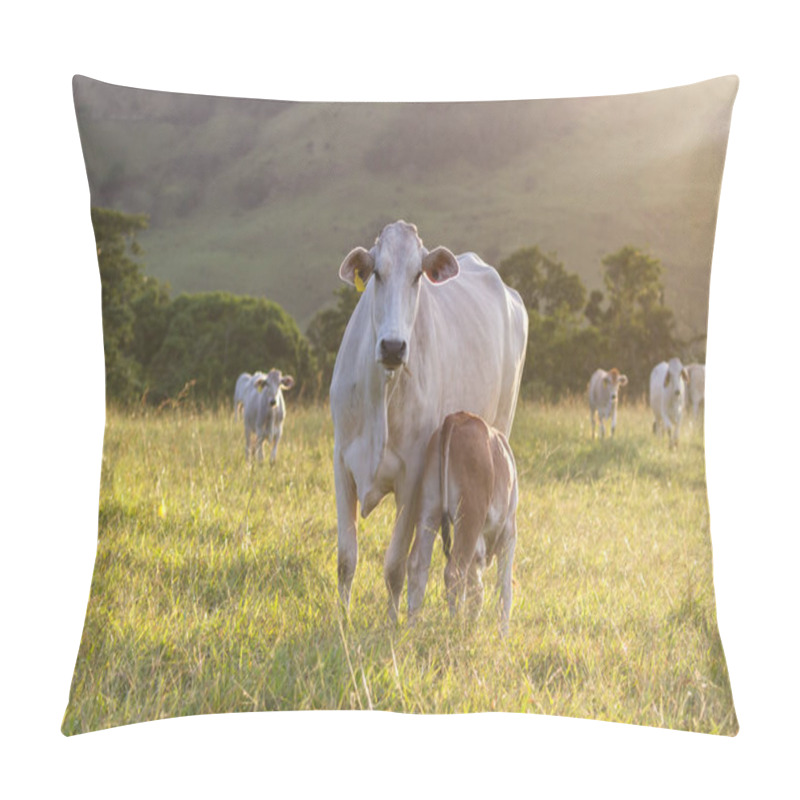 Personality  Brahman Cattle - Bos Indicus  Pillow Covers