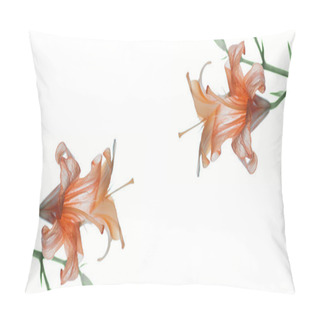 Personality  Close-up View Of Beautiful Tender Orange Lily Flowers Isolated On White Background  Pillow Covers