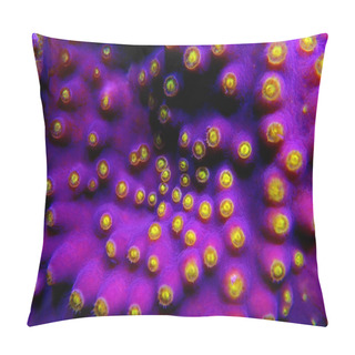 Personality  Macro Yellow Polyps On The Purple Turbinaria SPS Coral Pillow Covers
