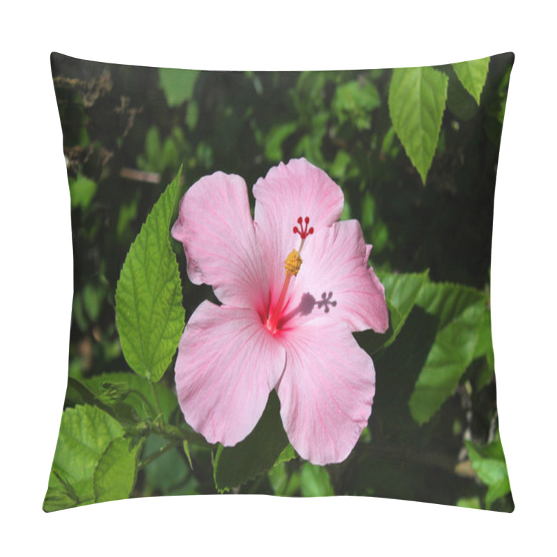Personality  Tropical pink hibiscus flower pillow covers