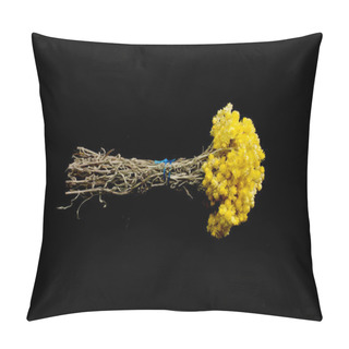 Personality  Helichrysum Flowers Isolated On Black Background,image Of A Pillow Covers