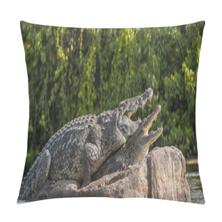 Personality  Mating Nile Crocodiles (Crocodylus Niloticus).  Pillow Covers