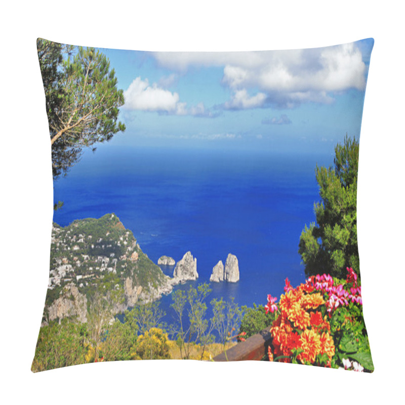 Personality  Capri island. Italy pillow covers