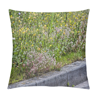 Personality  Evening-primrose, Hare's-foot Clover And Other Wildflowers Growing By The Roadside In Summer In The Town Of Zwolle, The Netherlands Pillow Covers