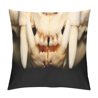Personality  Cat Skull Pillow Covers