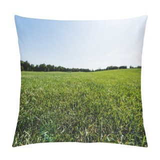 Personality  Selective Focus Of Green Grass Near Trees Against Sky In Park  Pillow Covers