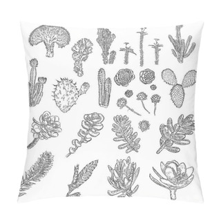 Personality  Cactus Set. Hand Drawn Plants.  Pillow Covers