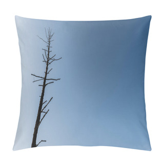 Personality  Low Angle View Of Branches On Dark Tree Against Blue Sky  Pillow Covers