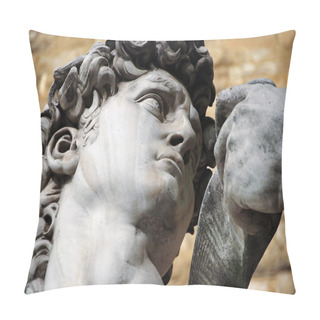 Personality  Statue Of David By Michelangelo In Florence, Tuscany, Italy Pillow Covers