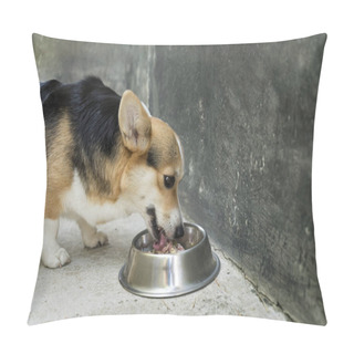 Personality  Corgi Dog Eating Dog Food In A Bowl Pillow Covers