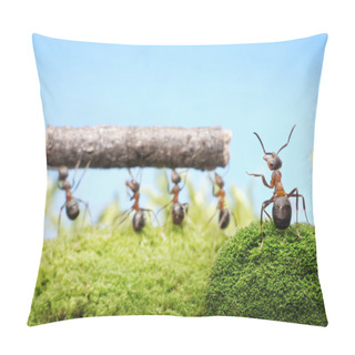 Personality  Ants, Team Work Management Pillow Covers