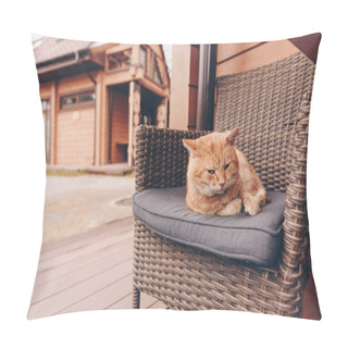 Personality  Sleepy Cat Lying On Chair Pillow Covers