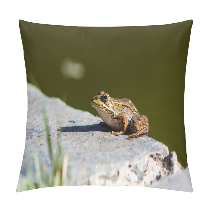 Personality  Green Frog Pillow Covers