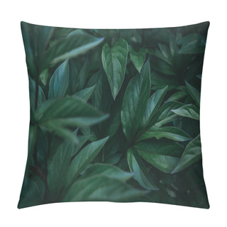 Personality  Dark Fresh Exotic Tropical Leaves Pillow Covers