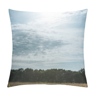Personality  Autumnal Field, Forest And Blue Cloudy Sky With Sunlight Pillow Covers
