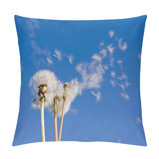 Personality  Dandeliions Pillow Covers