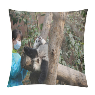 Personality  Woman Feeding Panda Pillow Covers