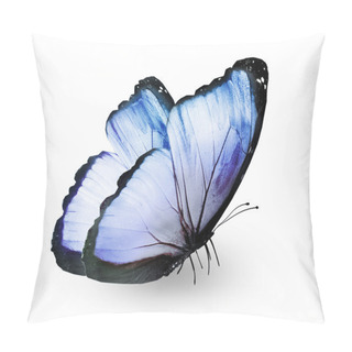 Personality  Blue Butterfly , Isolated On White Pillow Covers