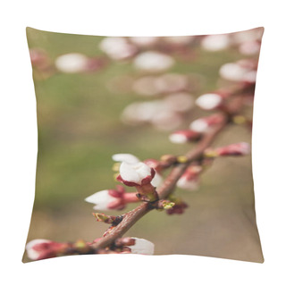 Personality  Selective Focus Of Closed Flower Buds On Tree Branch  Pillow Covers