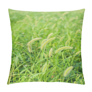 Personality  Setaria Pillow Covers