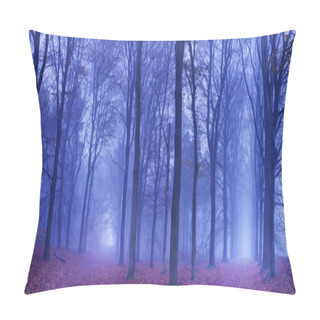 Personality  Two Paths In A Dark And Foggy Forest, The Netherlands Pillow Covers