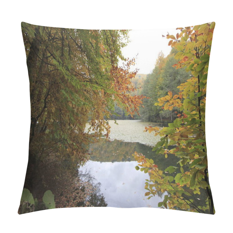 Personality  Yedigoller National Park In Autumn Pillow Covers