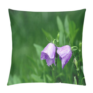 Personality  Blue Campanulas Pillow Covers