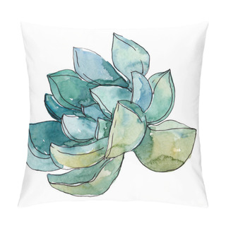 Personality  Succulents Floral Botanical Flowers. Wild Spring Leaf Wildflower. Watercolor Background Illustration Set. Watercolour Drawing Fashion Aquarelle. Isolated Succulent Illustration Element. Pillow Covers