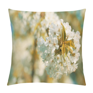 Personality  Fruit Flower For Pollination By Bees Pillow Covers