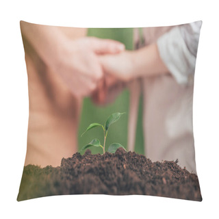 Personality  Selective Focus Of Young Green Plant, And Man Holding Kid Hands On Blurred Background, Earth Day Concept Pillow Covers