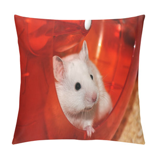 Personality  White Hamster Pillow Covers