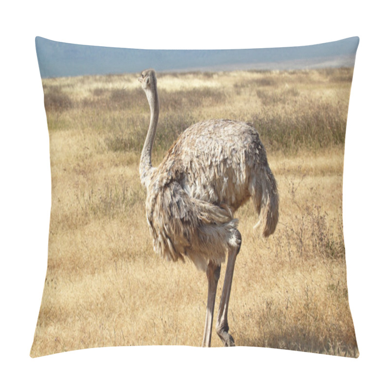 Personality  Female Ostrich Looking Around Pillow Covers