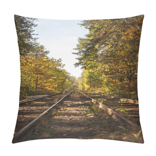 Personality  Railway In Scenic Autumnal Forest With Golden Foliage In Sunlight Pillow Covers
