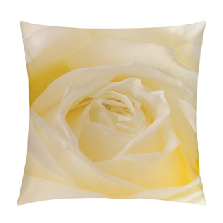 Personality  Yellow Rose Closeup Pillow Covers