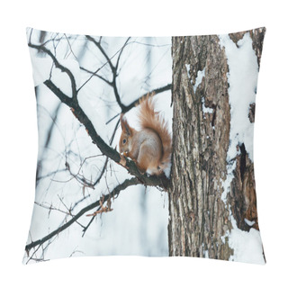 Personality  Selective Focus Of Cute Squirrel Sitting On Tree In Winter Forest Pillow Covers