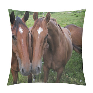 Personality  Together And Forever Pillow Covers