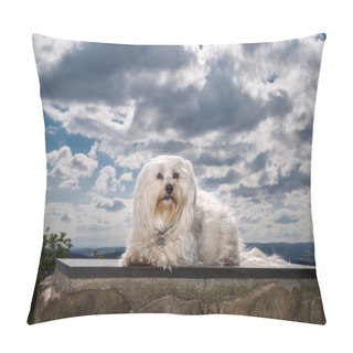 Personality  Havanese In Heaven Pillow Covers