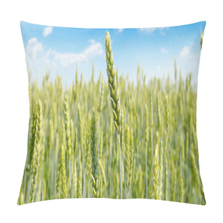 Personality  Field With Ripe Ears Of Wheat And Blue Cloudy Sky. Agricultural Landscape. Shallow Depth Of Field. Focus On The Front Ears. Wide Photo. Pillow Covers