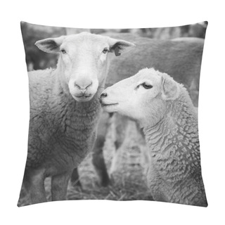 Personality  Sheep Black And White Pillow Covers