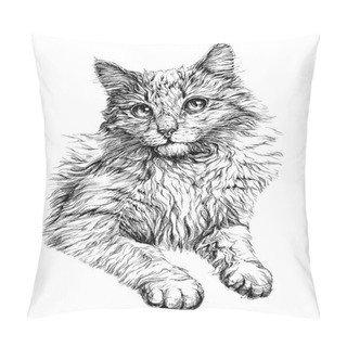 Personality  Cat Portrait. Hand Drawn Pillow Covers