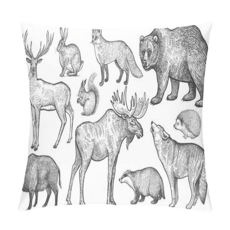 Personality  Animals Of Europe Set. Wolf, Badger, Hedgehog, Fox, Moose, Deer, Bear, Rabbit, Squirrel, Boar Isolated. Black And White. Vector Art Illustration. Wildlife Mammals. Nature Objects. Vintage Engraving. Pillow Covers