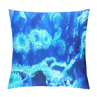 Personality  Blue Tropical Corals On Reef Pillow Covers
