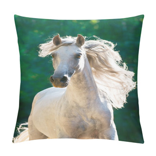 Personality  White Horse Runs Gallop Front Pillow Covers