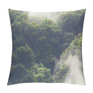 Personality  Tropical Forest In Japan, Vintage Filter Image Pillow Covers