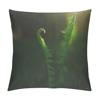 Personality  Close-up View Of Green Fern Leaves Pillow Covers