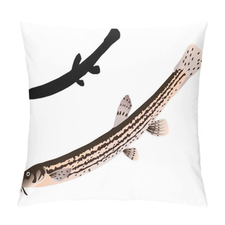 Personality  Vectors Loach Pillow Covers