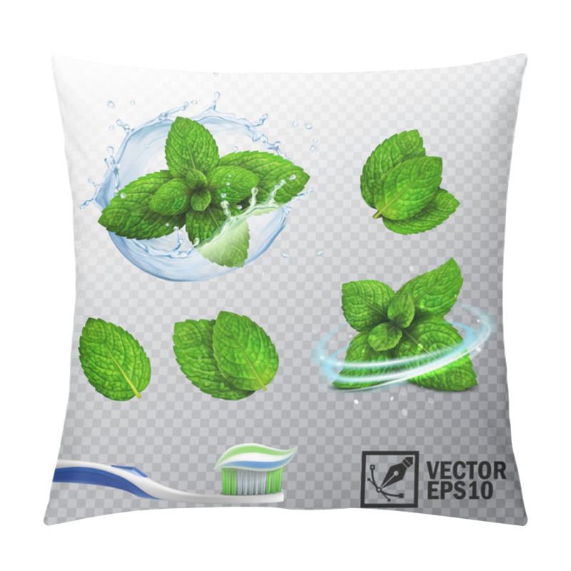 Personality  3D realistic vector set, transparent splash of water with a mint sprout, various options for mint leaves, a fresh whirlwind, a toothbrush with a paste pillow covers