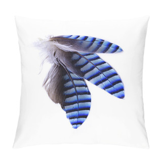 Personality  Three Jay Feathers On White Background Pillow Covers