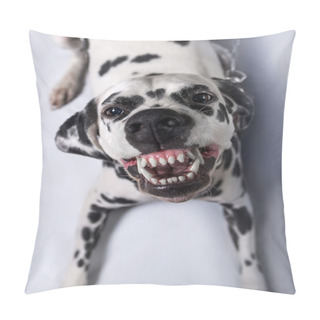 Personality  Dalmatian Dog Tied Pillow Covers