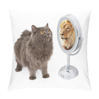 Personality  Cat Looking Into Mirror And Seeing Lion Pillow Covers